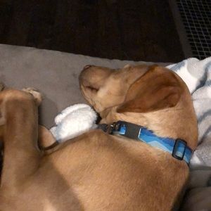 Meet your Posher, Alysia